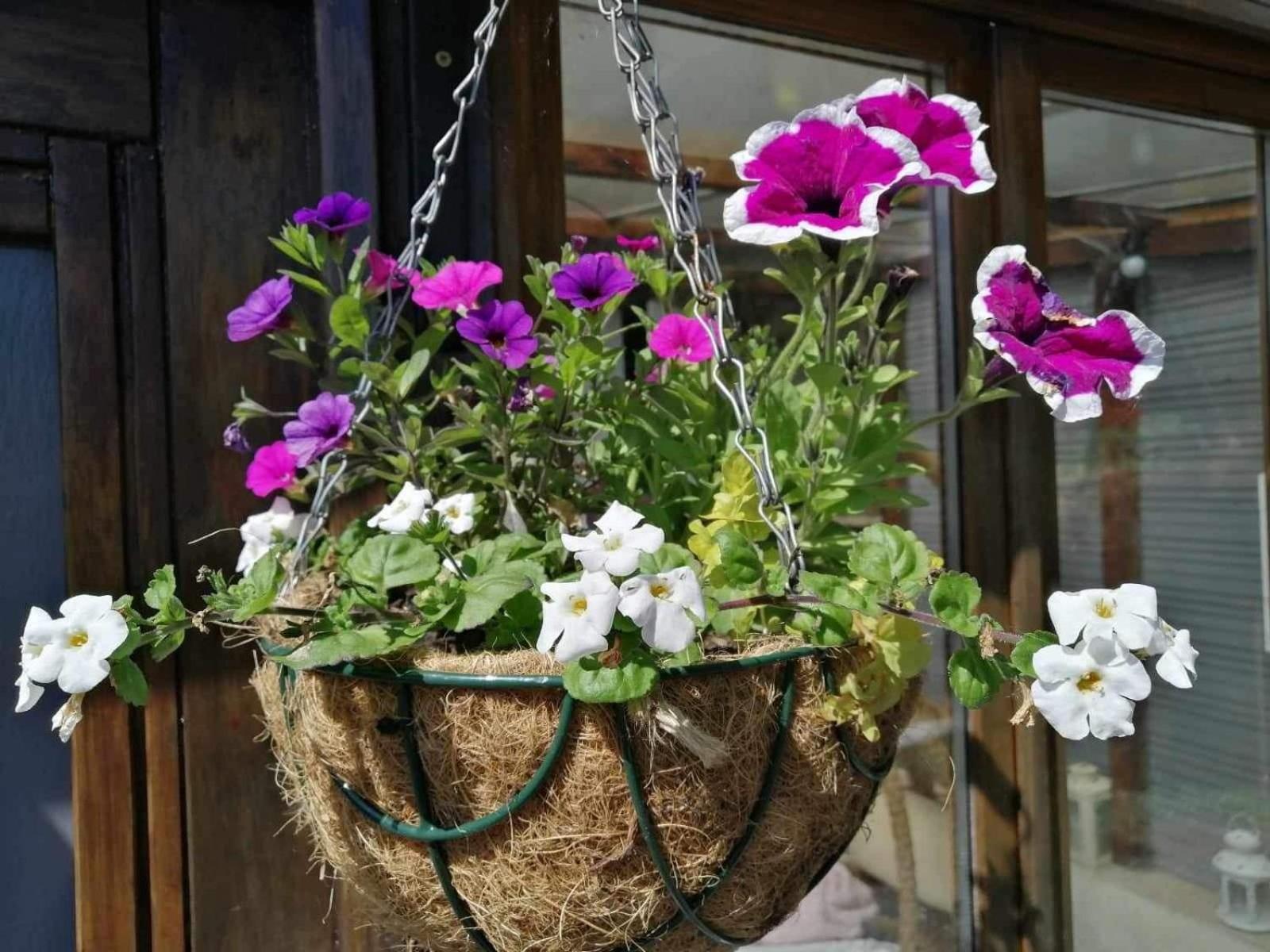 Normand Holiday Home - Vire Calvados Relaxing Rural Retreat Le Reculey Buitenkant foto